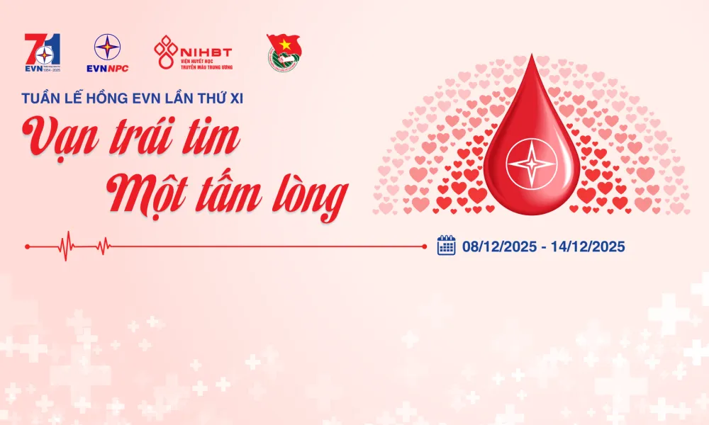 TRAILER TUẦN LỄ HỒNG EVN LẦN THỨ XI