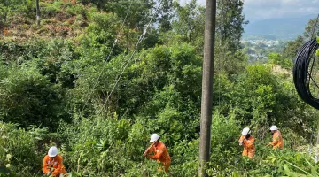 Đội QLĐLKV Thanh An phát dọn hành lang lưới Điện – Đảm bảo An toàn và cung cấp Điện liên tục cho Nhân dân
