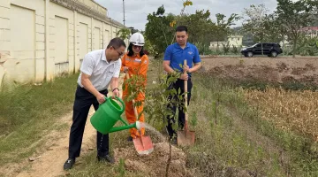 Đoàn Thanh niên Công ty Điện lực Điện Biên ra quân trồng cây xanh tại Trạm 110kV Điện Biên 2