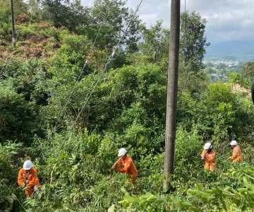 Đội QLĐLKV Thanh An phát dọn hành lang lưới Điện – Đảm bảo An toàn và cung cấp Điện liên tục cho Nhân dân