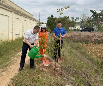Đoàn Thanh niên Công ty Điện lực Điện Biên ra quân trồng cây xanh tại Trạm 110kV Điện Biên 2