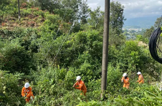 Đội QLĐLKV Thanh An phát dọn hành lang lưới Điện – Đảm bảo An toàn và cung cấp Điện liên tục cho Nhân dân