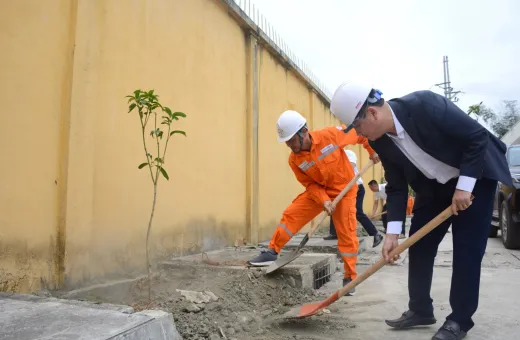 Công ty Điện lực Điện Biên hưởng ứng phong trào Tết trồng cây nhân dịp Xuân Giáp Thìn 2024